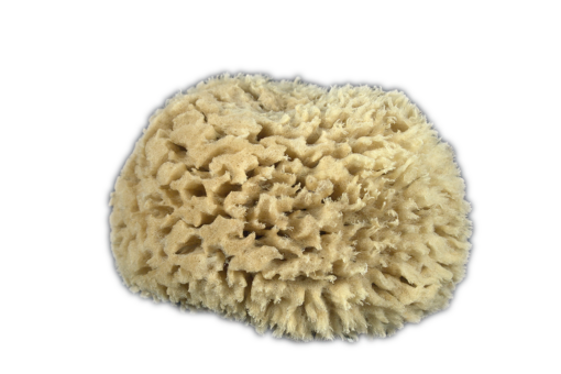 Natursvamp Wool (4 - 4½) - Badesvamp